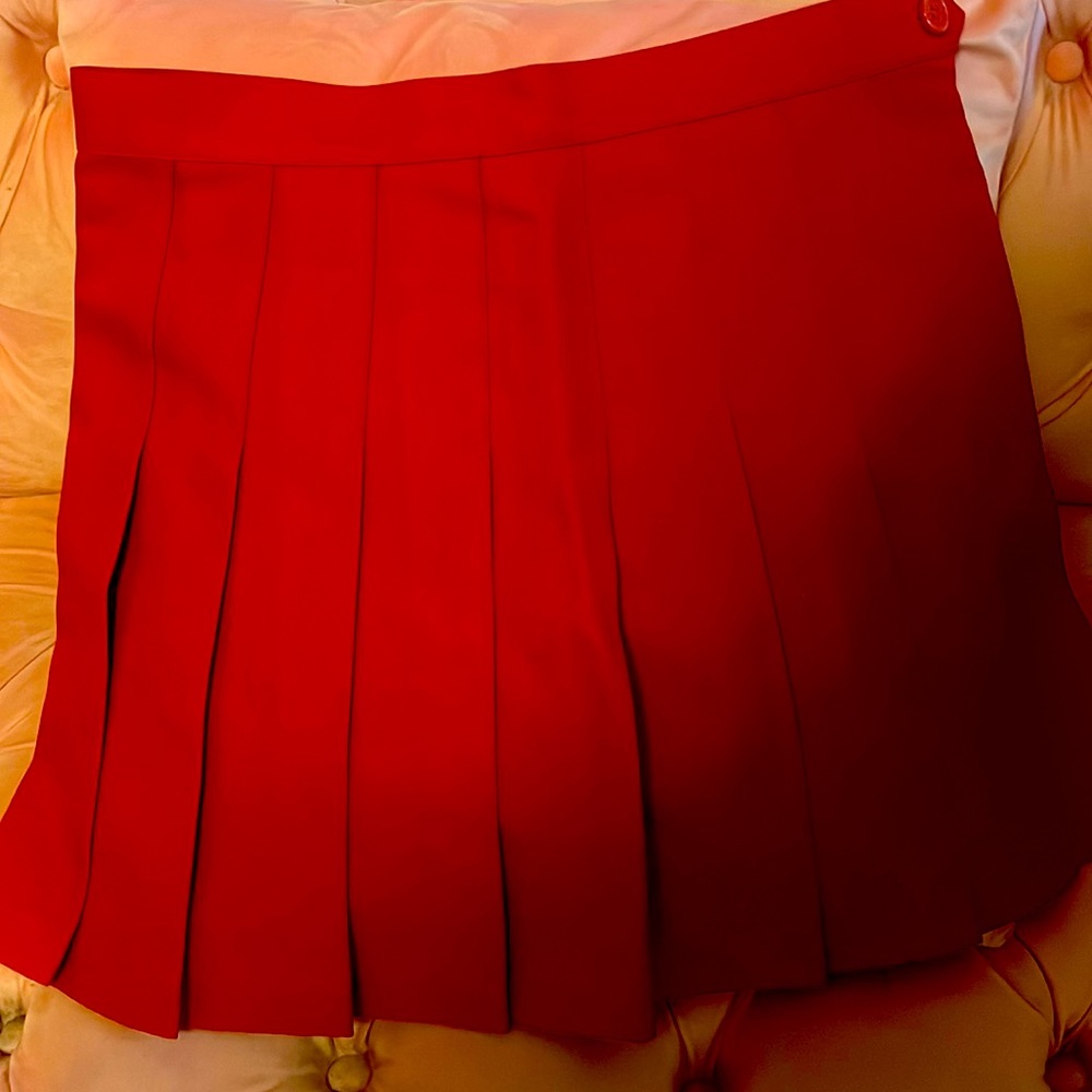 Teens / petite women size xs , small pleated skirt